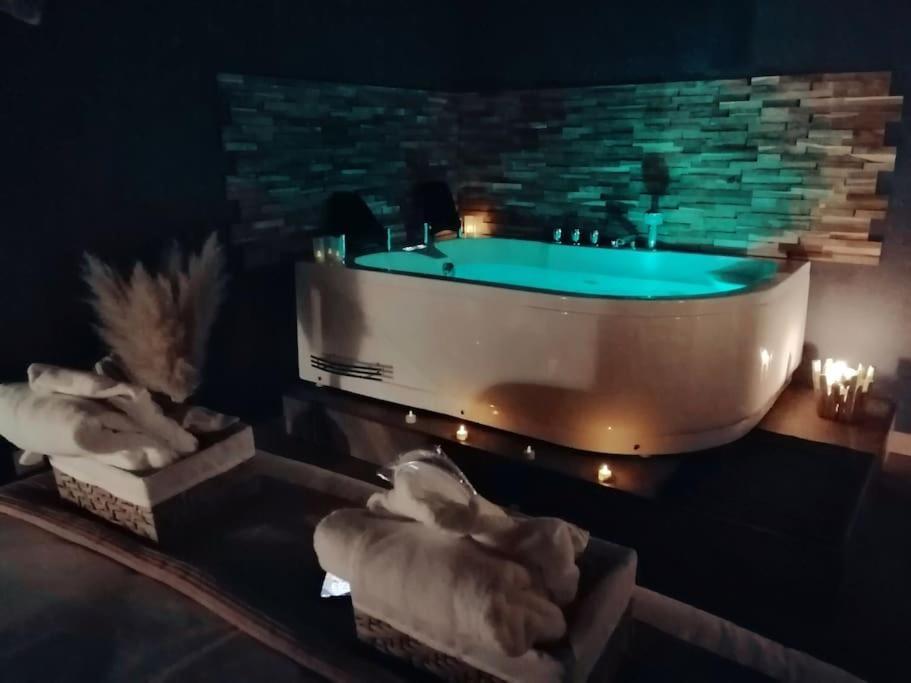 Rose & Blue Spa Proche Chalon S/Saone Et Beaune Saint-Martin-en-Bresse エクステリア 写真